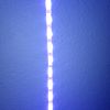 colorguessing123451