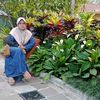 Tri Widia