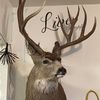 weatherby6.5_sb