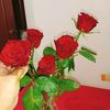 yuniacute009