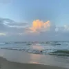 www.tiktok.coww.duc