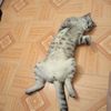 lehuyhung03