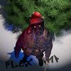 flexpimp