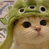 green_tea07408