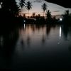 sonaroika