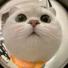 cutevaychoi_08