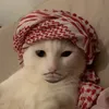Habibi