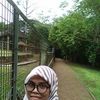 ratih_sis