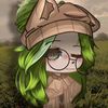 mako_3711