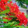 nguyendinhduong2202
