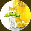 outsidog48