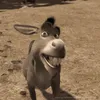 oh_no_dont_cry