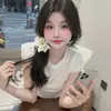 himbt09099