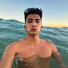 brauherrera1