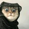 princessinahassan0