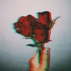 redroses_315