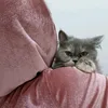 lolitacatss