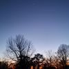 traviesosharp