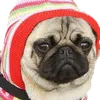 pugchin77