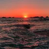 _nicole_xx1