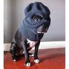 goodboycartel