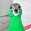 whataloadofmoooo