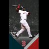g.o.a.tbaseball