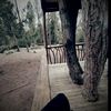 isac_rodriguezz