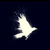 mhmdfadhil28_