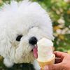 _super_cooper__714