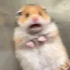 berthalinaa