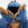 cookiemonster2169