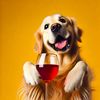winedoggie