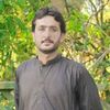 arbabhassani