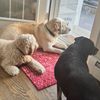 truthseekermom5