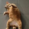 FitnessLife