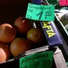 ananans_grapefurt