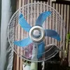 big_fan006