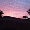 allancarvalho629