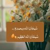 _muslim_917