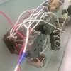 internet_pirate