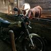 tearva730