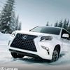 duykhangdetailing