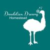 Dandelion Dreams Homestead
