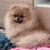 chloe._.jung
