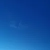 jhnrppz