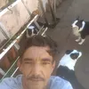 marcelobvs