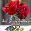 hodamohammad50