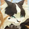 bunnikindafunny