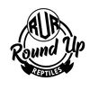round_up_reptiles